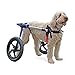 Walkin' Wheels Dog Wheelchair - for Med/Large Dogs 50-69 lbs - Veterinarian Approved - Dog Wheelchair for Back Legs