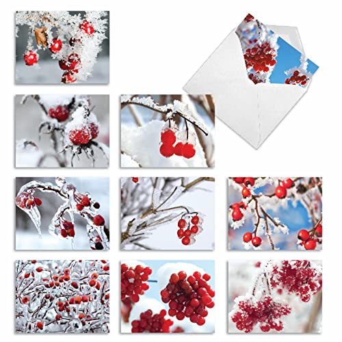 M3274 Merry Berries: 10 Assorted Blank Christmas Note Cards Featuring Snow-Covered Red Berries, w/White Envelopes.
