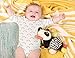B. toys - B. baby Plush Panda Sensory Plush With Detachable Rattle & Teether Colors, Textures & Sounds Stuffed Animal For Babies, Toddlers 0 Months + Party Panda
