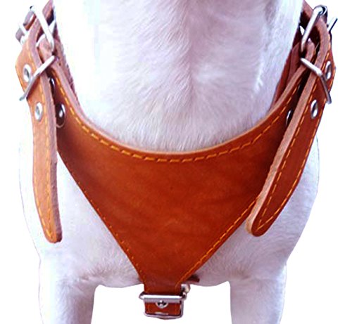 Orange Genuine Leather Dog Harness, Medium. 25"-30" Chest, 1" Wide Adjustable Straps