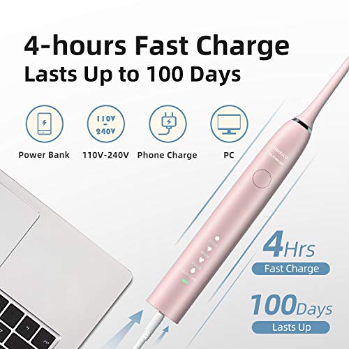 Hanasco Electric Toothbrush Sonic, 6 DuPont Brush Heads & Travel Case