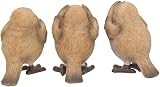 Nemesis Now Three Wise Robins 8cm Resin Figurine Brown view 3