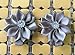 QandSweet 32 Pcs Girls Hair Clips Safety Clip Rhinestone Flower Barrettes for Toddler Girl Teens and Womens