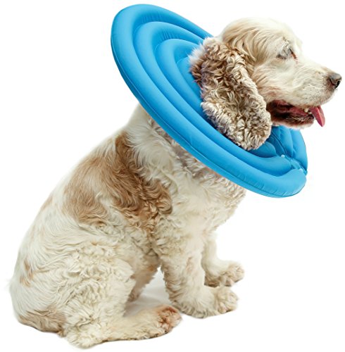 UsefulThingy Dog Recovery Collar - Soft Comfy Cone E-Collar After Surgery, Anti-Bite/Lick - for Cats Too, Quicker Healing - 4 Sizes, 2 Colors (S, Blue)