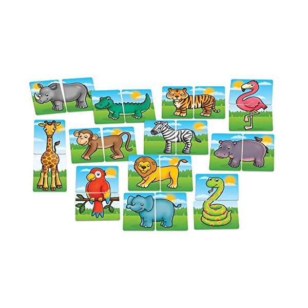 Orchard Toys Jungle Heads and Tails Game, Educational Game, 2 in 1 Activity, Educational Memory Game, Age 18 months…