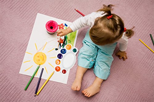 image for PAXCOO 32 Pcs All Purpose Paint Brush Value Pack, Nylon Hair Artist Ac