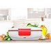 YOUDirect Car Use Electric Heating Lunch Box - Portable Bento Meal Heater Car Plug Food Warmer Stainless Steel Heating Food Container Leak-Resistant Reusable Electronic Food Boxes (Red)