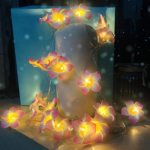 Riaxuebiy Plumeria Künstliche Lichterkette Frangipani Künstliche Blumen LED Fee Lichterketten Batterie für Strand Party Geburtstag Vorschlag Hochzeit Dekor (3 m/20 LED, Rosa)