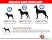 Dog Diapers Wraps for Male Dogs Reusable Washable Eco-Friendly - 3 Pack | Super Absorbent Lasting Protection Soft Breathable Mesh Velcro | Male Marking | Urinary Incontinence| Excitable Urination