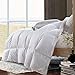 ROSECOSE Luxurious Lightweight Goose Down Comforter Queen Size Duvet Insert Solid White 1200 Thread Count 750+ Fill Power 100% Cotton Shell Hypo-allergenic Down Proof with Tabs (Queen,White)