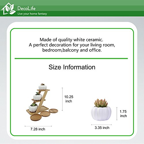 DecoLife Pumpkin Planter Small Round White Ceramic Succulent/Cactus Pot Modern Garden Decorative Nordic Style 3 Tier Bamboo Stand Cute Pumpkin Pot Desk Organizer
