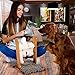 Interactive Dog Food Puzzle Toy - Treat Dispensing Dogs Slow Feeder - Indoor Boredom Stress Relief Smart Dog Game for Smart Training - Refillable Tricky IQ Feeding Game (Large w/Mat, Beige)