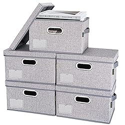 BALEINE Storage Bins with Lids, Foldable Linen