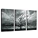 sechars - 3 Piece Tree Canvas Wall Art Winter Tree Landscape Picture Photography Print on Canvas Painting Modern Living Room Bedroom Farmhouse Wall Decor Stretched and Framed Ready to Hang