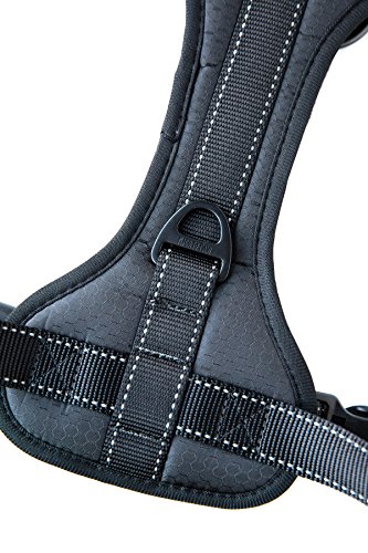 Mighty Paw Dog Car Harness - Vehicle Safety Gear - 2 Leash Attachment - Adjustable Straps - Reflective Stitching - Soft Padding - Standard Harness Functionality - No Pull Front Leash Attachment - L