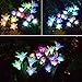 TONBUX Outdoor Solar Garden Stake Lights Upgraded Solar Powered Lights Waterproof with 8 Lily Flower, Multi-Color Changing LED Solar Landscape Decorative Lights for Patio, Backyard, Pathway(2 Pack)