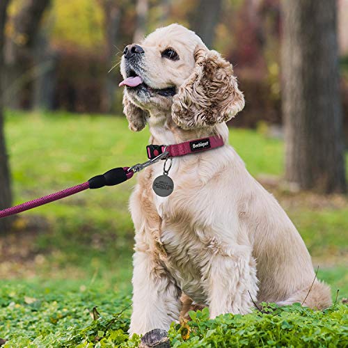 Beebiepet Classic Nylon Dog Collar With Quick Release Buckle Adjustable