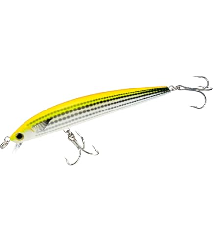 Amazon.com : Yo-Zuri R1323-CS: Hydro Minnow Lc (F) 170Mm 6-3/4