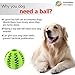 EVERFRIEND Interactive Soft Rubber Toy Ball For Small to Medium Dogs (Puppies) Cats - Virtually Indestructible Dog Ball [Bite Resistant] - Teeth Cleaning, IQ Training, Playing, Chewing - 2.8