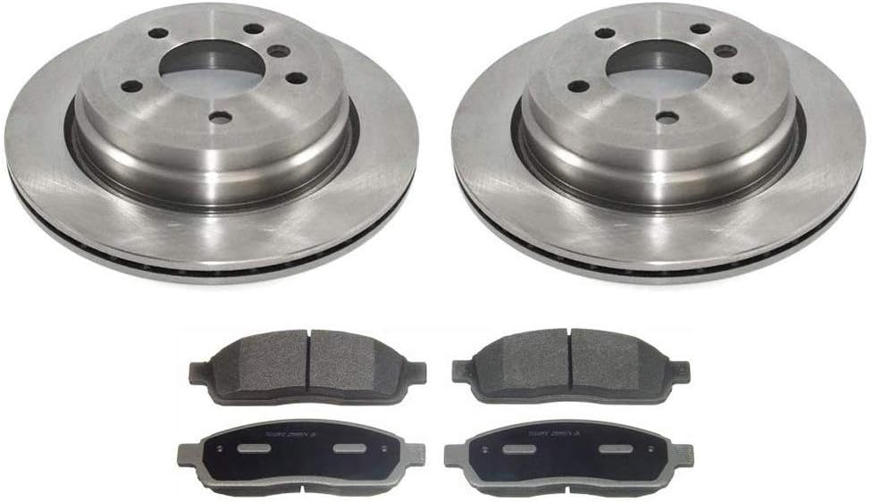 AutoDN Rear Disc Brake Rotors and Metallic Pads 3PCS