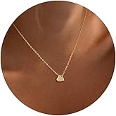 DIFOMI Heart Necklace for Women, Dainty 14K Gold/Sterling Sliver Plated Heart Pendant Necklace Trendy Jewelry Gift for Women