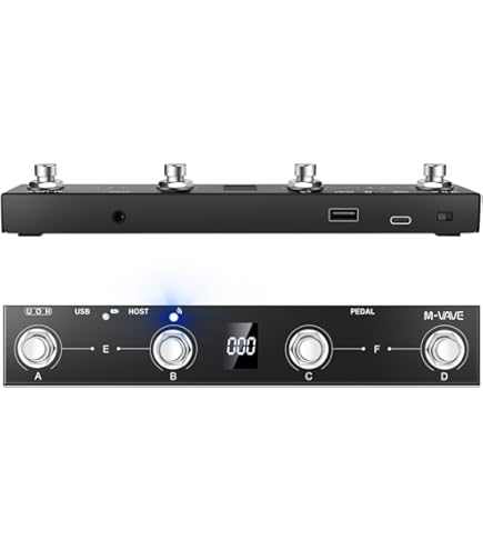 Amazon.com: Roland FC-300 Twin Expression MIDI Foot