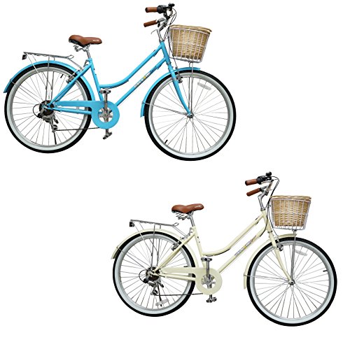 beach cruiser with basket