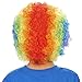 Rainbow Clown Child Dress Up Wig