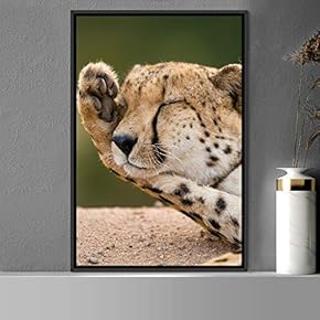signwin Framed Canvas Wall Art Cheetah Animals Cheetah...