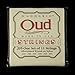 D'Addario J95 Oud/11-String Set