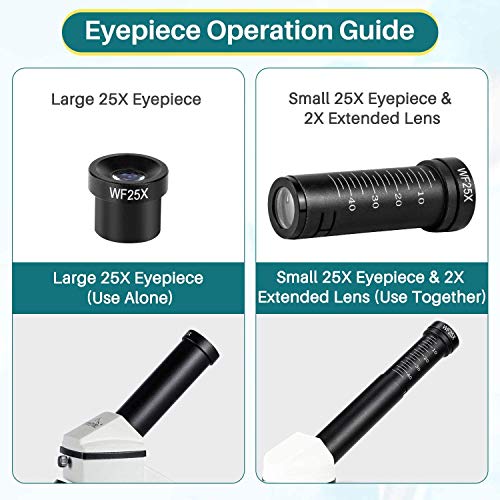 5 Microscope+Compound+Prepared+Accessories+Christmas