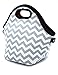 Orchidtent Neoprene Water Resistant Portable Lunch Bag Carry Case Tote with Zipper Strap Box Cooler Container Bags Picnic Outdoor Travel Fashionable Handbag Pouch for Women Men Kids Girls (GREY)