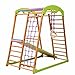 Wooden Playgrounds Babywood Home Gymnastic, Wood Indoor Jungle Gym Sets, Climbing Kids, Indoor Children Playground, Baby Play Area Complete with Climbing Ladder Slide Rings & Swing, Sport