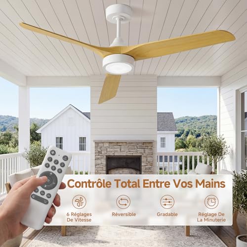 Ateroll Ventilateur Plafond Télécommande Lustre Ventilateur de Plafond Silencieux, Ø132 cm en ABS, Ventilateur Dimmable Plafonnier 6 Vitesses, Minuterie 3 Températures LED Chambre, Salon & Terrasse