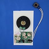 RE-Recordable PUSH BUTTON Sound Module/Chip (104 seconds)