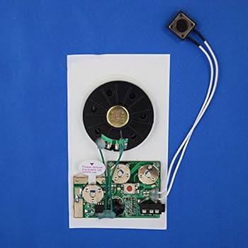 RE-Recordable PUSH BUTTON Sound Module/Chip (104 seconds)