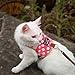 Yizhi Miaow Cat Harness and Leash for Walking Escape Proof, Adjustable Cat Vest Harness, Padded Stylish Cat Walking Jackets, Polka Dot Pink, X-Small