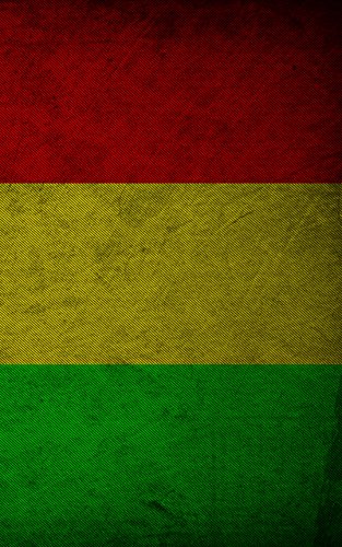 MightySkins Decal Skin Wrap For DJI Phantom 3 Standard Drone - Rasta Flag Design, Protective Vinyl Sticker - View #9