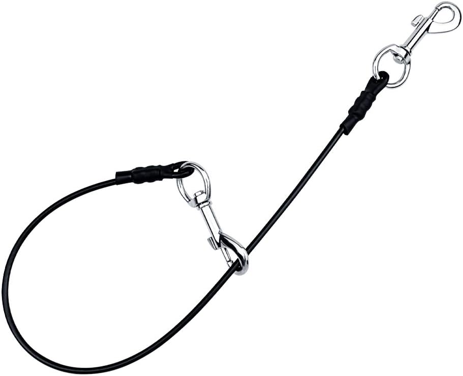 Best dog car seat tether