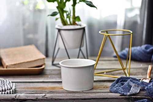 Planter Pots Indoor,Y&M(TM) 6 inch Modern Garden White Ceramic Round Bowl with Metal Air Plant Stand for Succulent Planter Cactus (White + Gold)