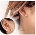 Adabele Authentic Sterling Silver Birthstone Stud Earrings 8mm/2 Carat Cubic Zirconia Imitation Diamond Gemstone Hypoallergenic Nickel Free Tarnish Resistant Women Men Fine Jewelry