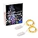 Litake Waterproof Battery String Lights Silver Wire Fairy Indoor LED String Light for Decorative Christmas Holiday Wedding Parties(6.5ft-20LEDs-Warm White-CR2032 Battery Box)-2 Packs