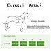 PYRUS Dog Harness, K8 No Pull Harness Dog Leash Padded Pet Walking Harness Heavy Duty for Dogs (XL)