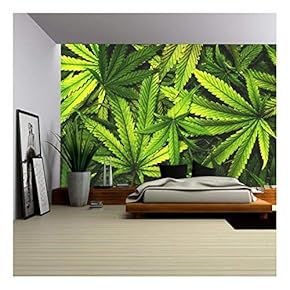 Cannabis Texture Marijuana Leaf Pile Background with Flat Vintage Style