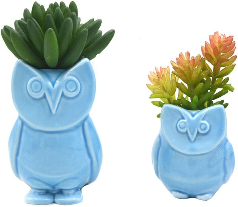 Youfui Cute Animal Succulent Planter Pencil Holder Owl Flower Pot Decor for Home Office Desk (Blue Owls)