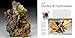 Gems and Minerals: Earth Treasures from the Royal Ontario Museum
