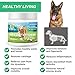 Paw Power Glucosamine for Dogs - Advanced Hip and Joint Support with Organic Turmeric, Chondroitin, MSM, Coconut Oil; Supports Healthy Joint Function & Helps with Pain Relief for Your Dog