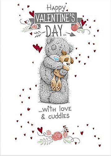 Me to You Happy Valentine's Day TO THE DOG Tatty Teddy Bear New Gift Love