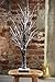 Perfect Life Ideas 24 Inch Snow Covered Lighted Tree - Multiple Uses - Baby Night Light Lamp - Jewelry Tree - Table Top Décor Home Centerpiece Weddings Parties - BO Portable - No Cords Outlets Needed