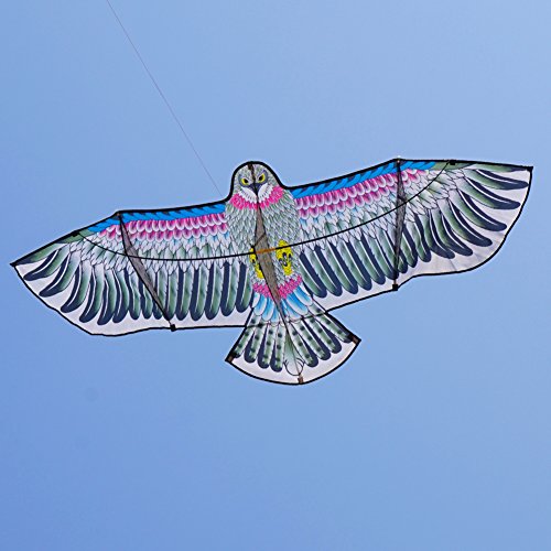 Besra 72inch 3D Eagle Bird Kite with Flying Tools Outdoor Fun Sports for Beach & Park (Eagle)
